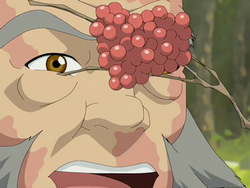 Maka'ole berries