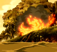 Burning tree