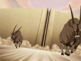 Aang dierentuin.gif