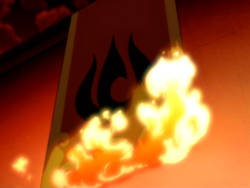 Flag burning