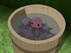 Purple pentapus.png