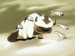 Appa's mother.png