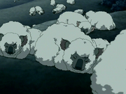 Sleeping koala sheep