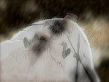 Sturm-Traum.png