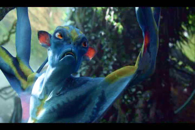 File:Obezyanopodobnyj-prolemur.jpg