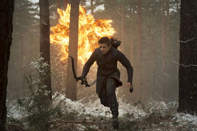 Datei:Hawkeye-avengers-age-of-ultron.jpg