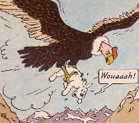 Condor.jpg
