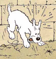Milou.jpg