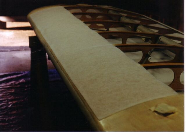 File:Woodleadingedge6.jpg
