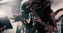 Alien-1.jpg