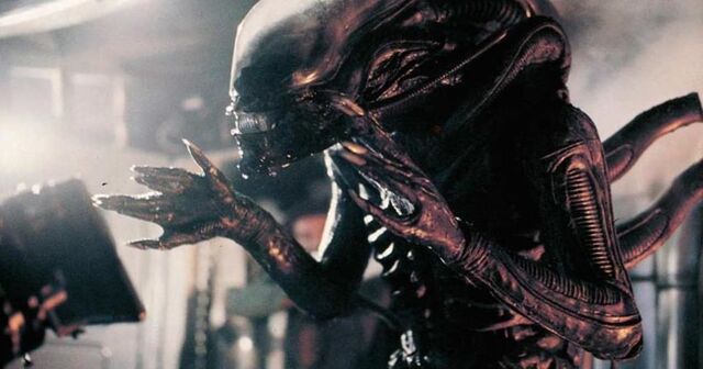 Файл:Alien-1.jpg