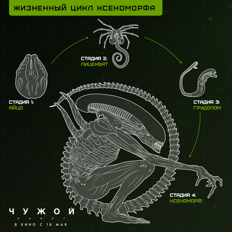 Файл:XenoCycles.png