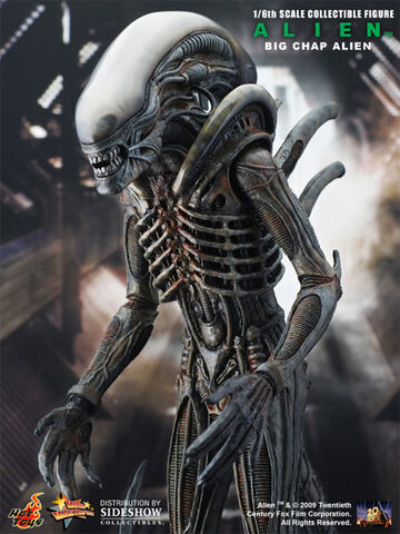 File:Hottoysbigchap.jpg