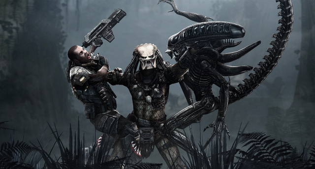 File:AVP2010.png