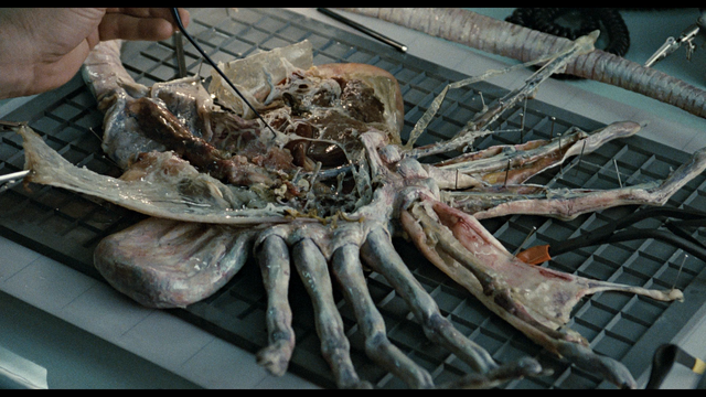 File:Bishop with Facehugger.png