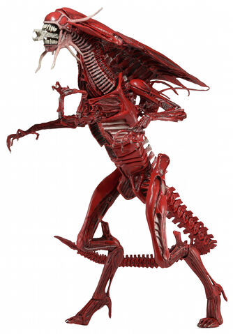 File:1300x-Red Queen Genocide1.jpg
