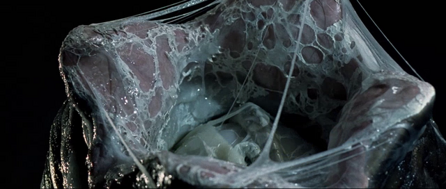 File:Egg opening.png