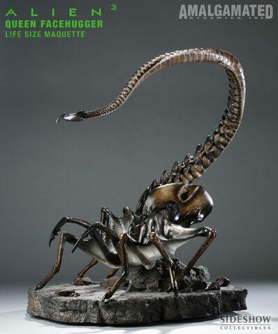 File:Queen Facehugger.jpg