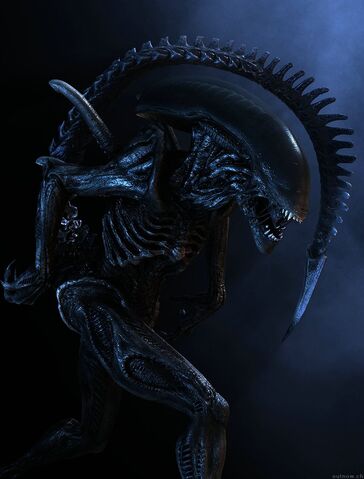 File:Drone tail strike-AVP2004.jpg