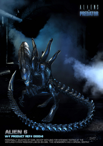 File:Specimen 6.png