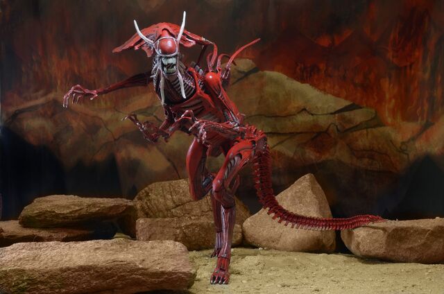 File:1300x-Red-Queen5.jpg