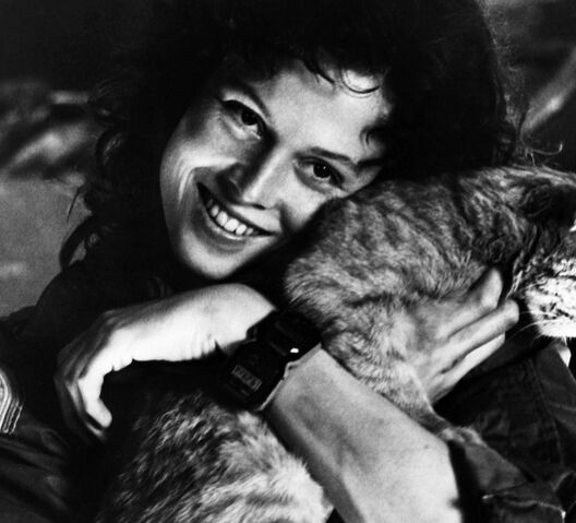File:Ellen Ripley from the first alien movie 5 stars phistars wallpaper cute.jpg