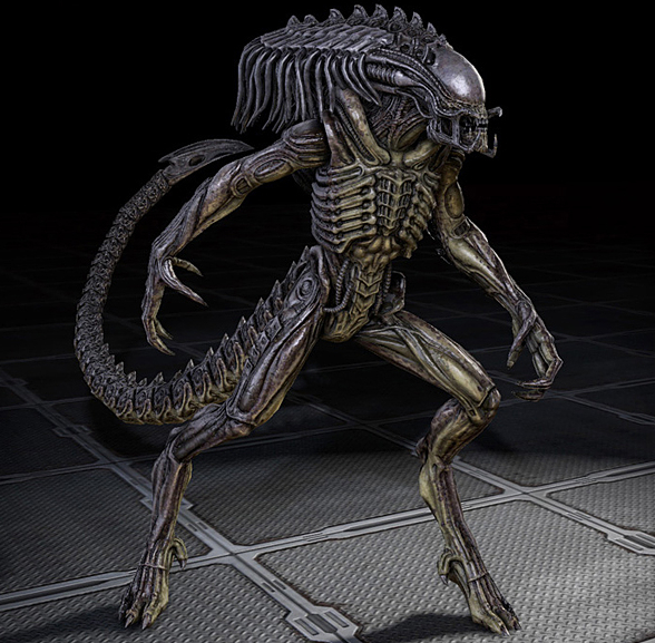 aleins vs predator 2010 for mac aleins vs predator 2010 for mac