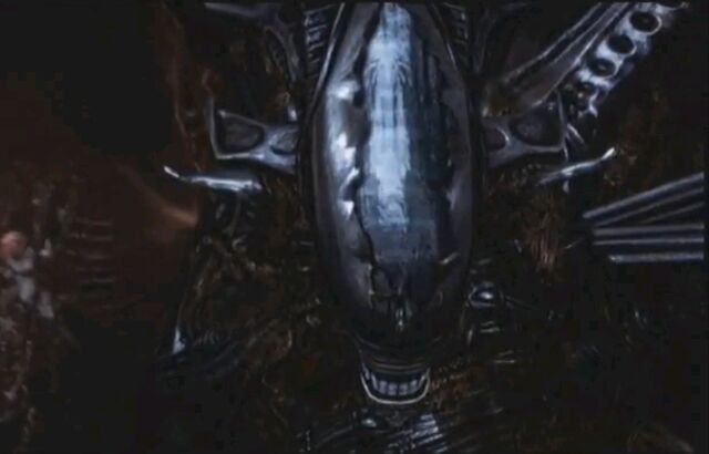 File:6molts.jpg