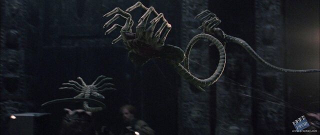File:Avp facehugger.jpg