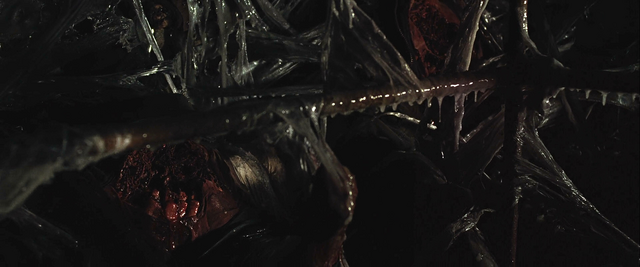 File:Sewer Hive.png