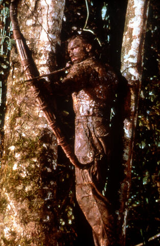 File:Bow.jpg