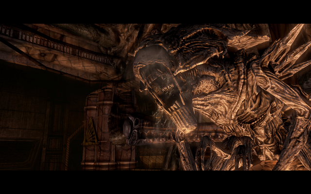 File:Matriarch.png