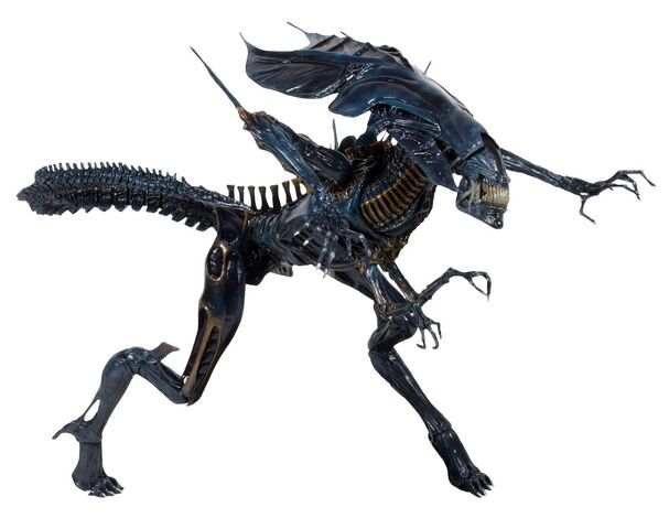 File:NECA-Alien-Xenomorph-Queen.jpg