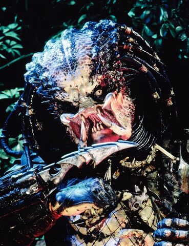 File:87Predator.jpg