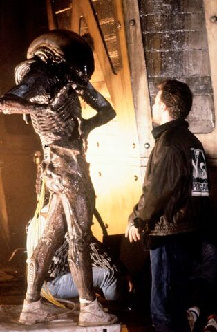 File:Dragon BTS 1.jpg