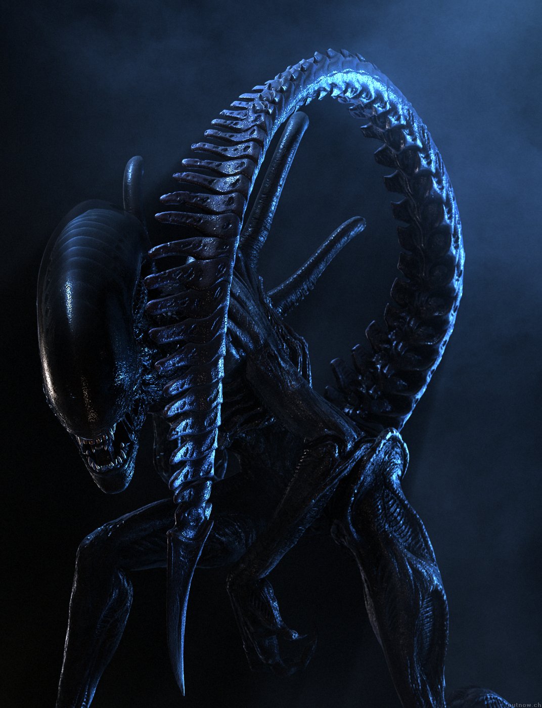 Image result for xenomorph tail