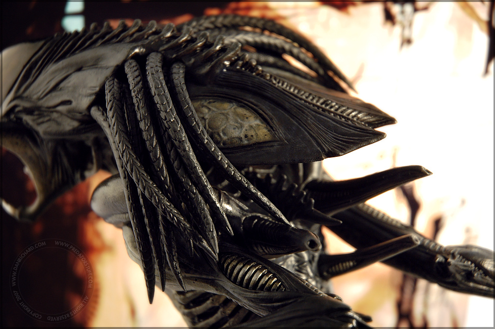 download neca predalien remake download neca predalien remake