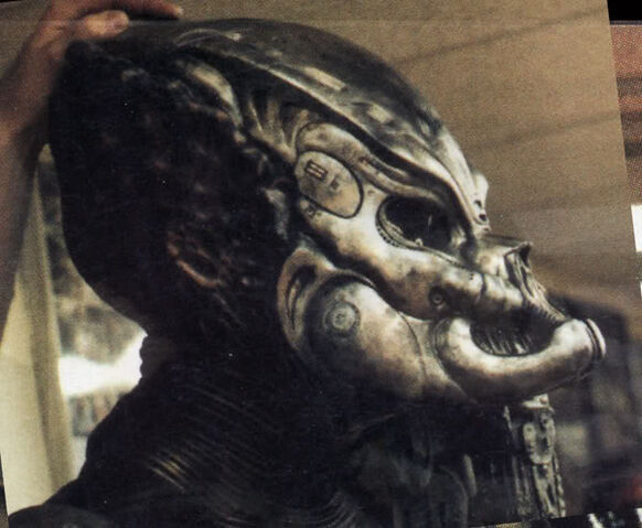 File:Gortmask.jpg