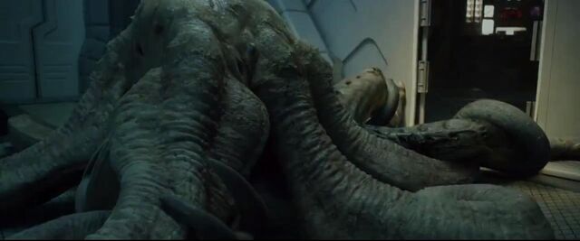 File:Trilobite3.jpg