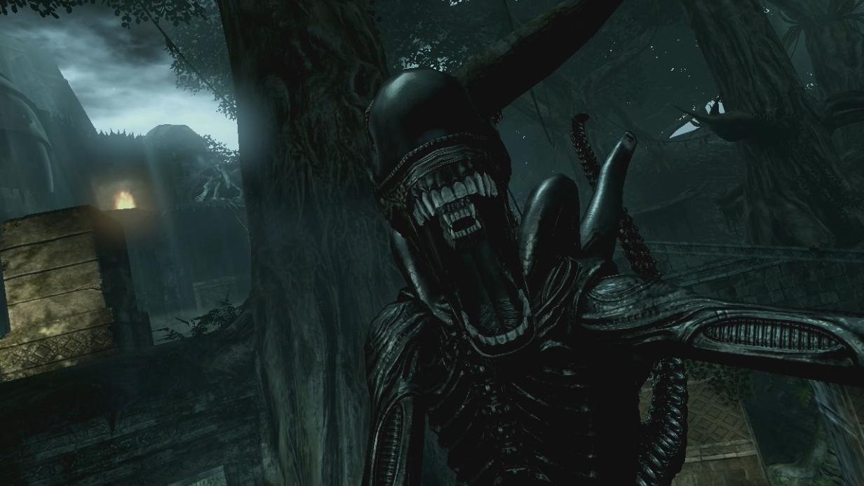 xenomorph warrior