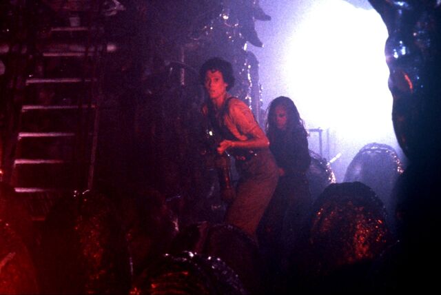 File:EllenandNewtinHive.jpg