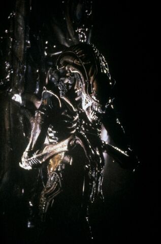 File:A2productionstill60.jpg