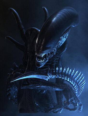 File:01-orc darkportal.jpg