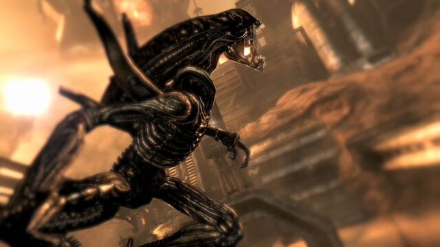File:Normal killmoves15.jpg