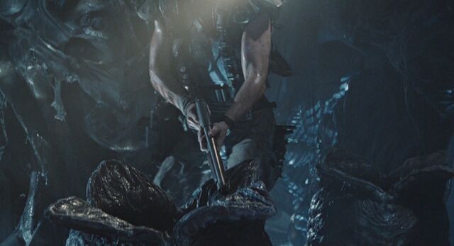 File:Hicks looks at Eggs with his shotgun.jpg