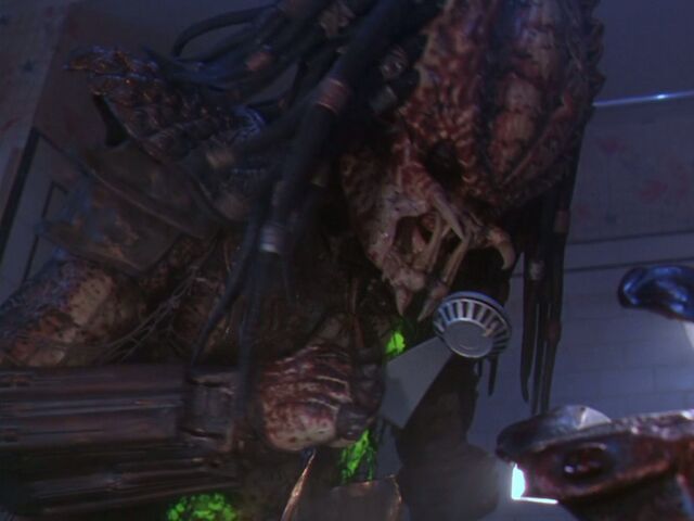 File:Thecitypredatorhealing.jpg