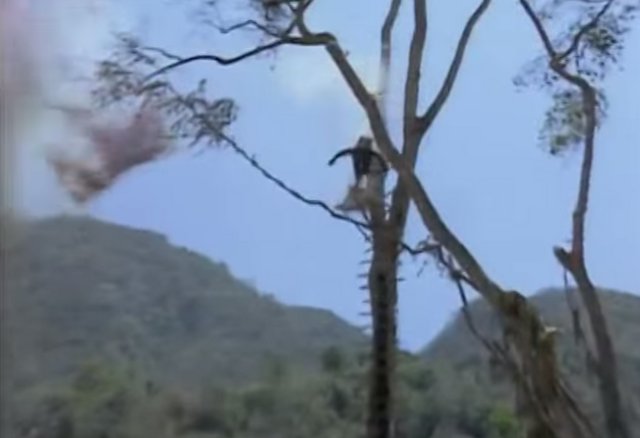 File:Burton falls.png