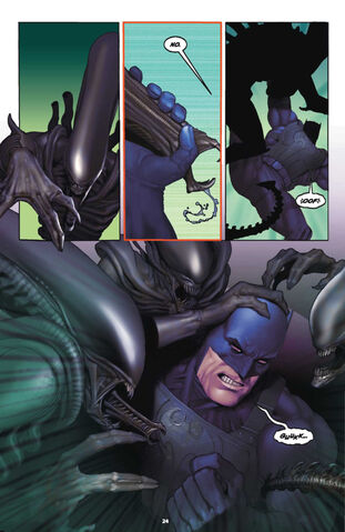 File:Superman-batman-vs-aliens-predators-20061218061906165-1770226 640w.jpg