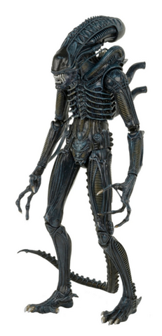 File:NECA 1-4 Warrior.png