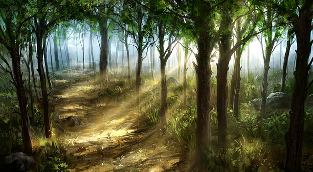 File:Solorian Woods.jpg